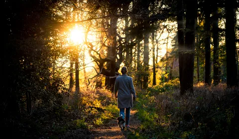 A woman in a coat walking alone along a sunlit forest path